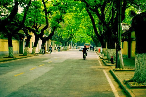 Πόσο σημαντικό είναι το πράσινο στις πόλεις;